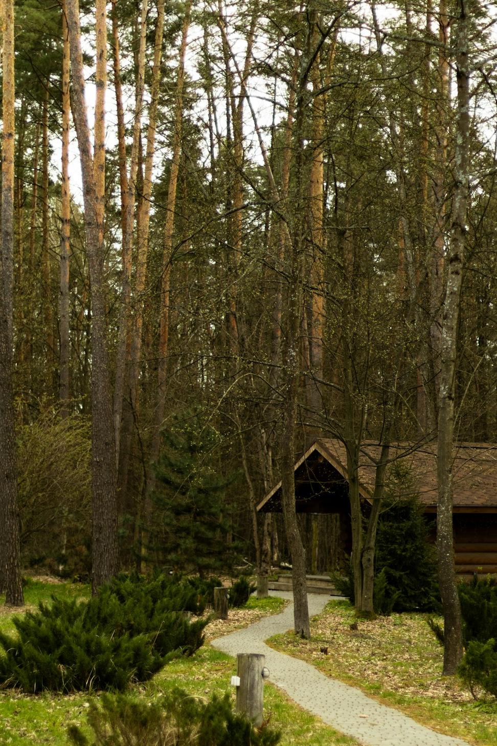 Whistler Creek Residence