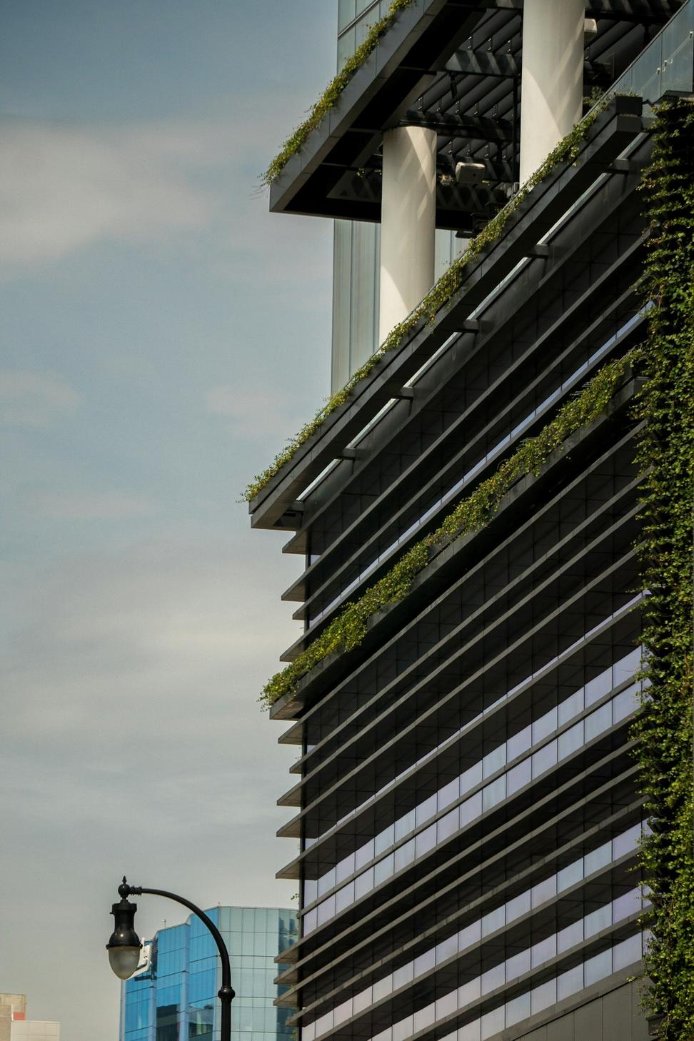 Carbon Neutral