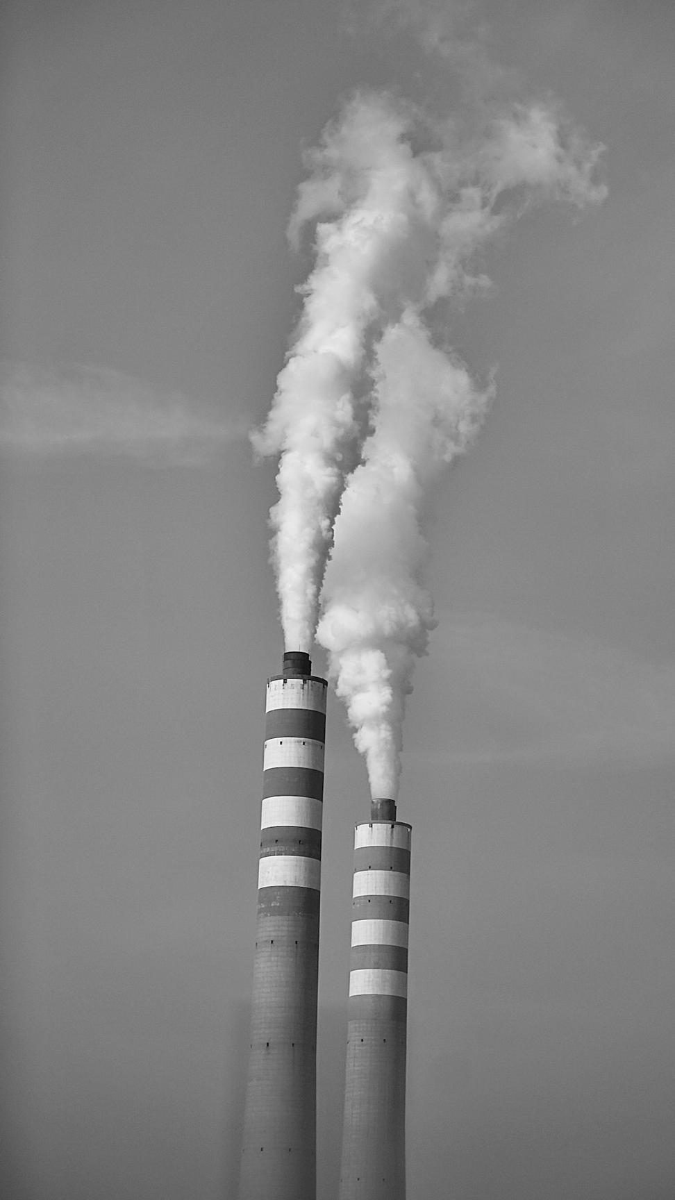 Carbon Neutral
