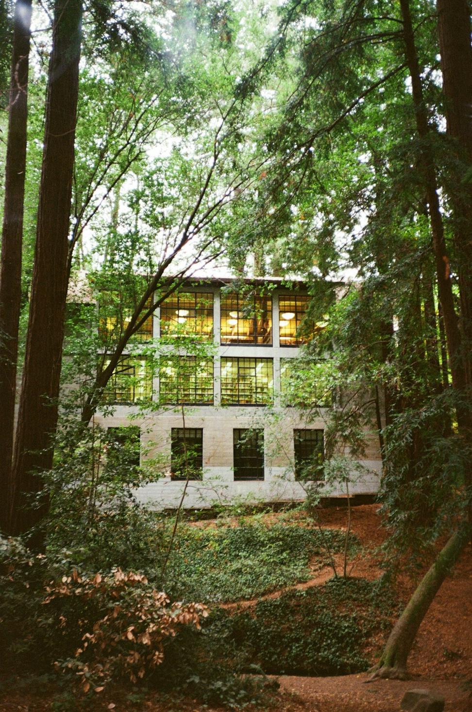 Residential project